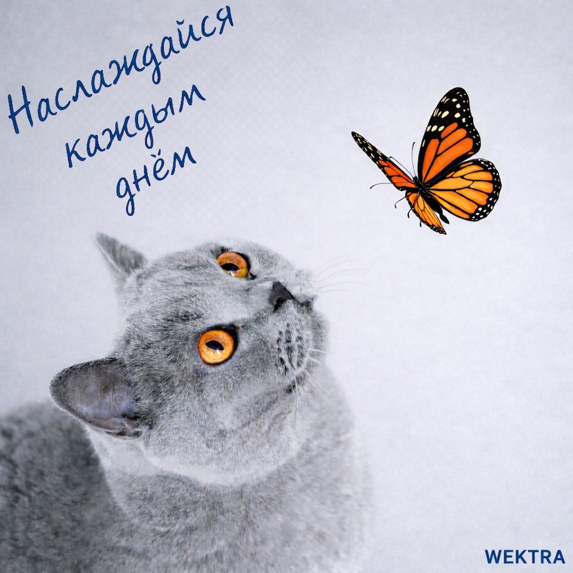 Обложка альбома